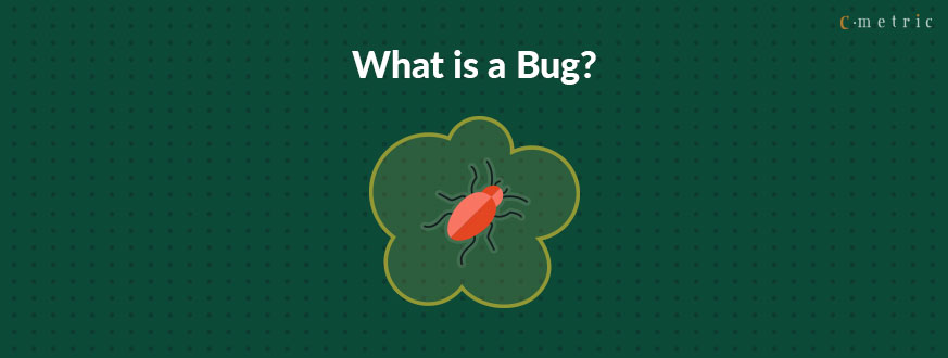 What is a Bug in Software Testing?