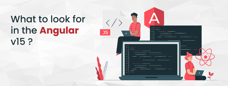What to look for in the Angular v15?